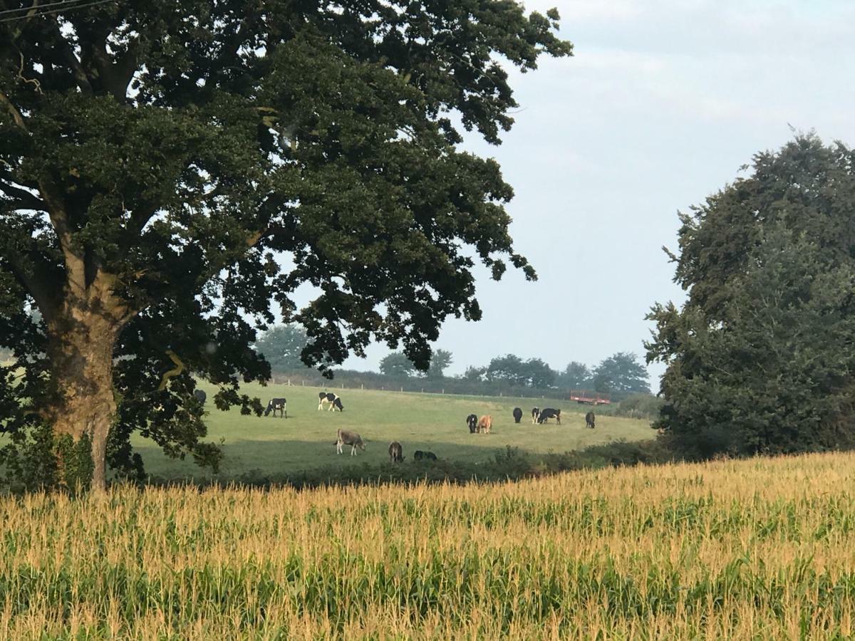 Hunters Lodge Exeter, Free Parking, Country Views, Great Wi-Fi, Large Garden Poltimore Экстерьер фото